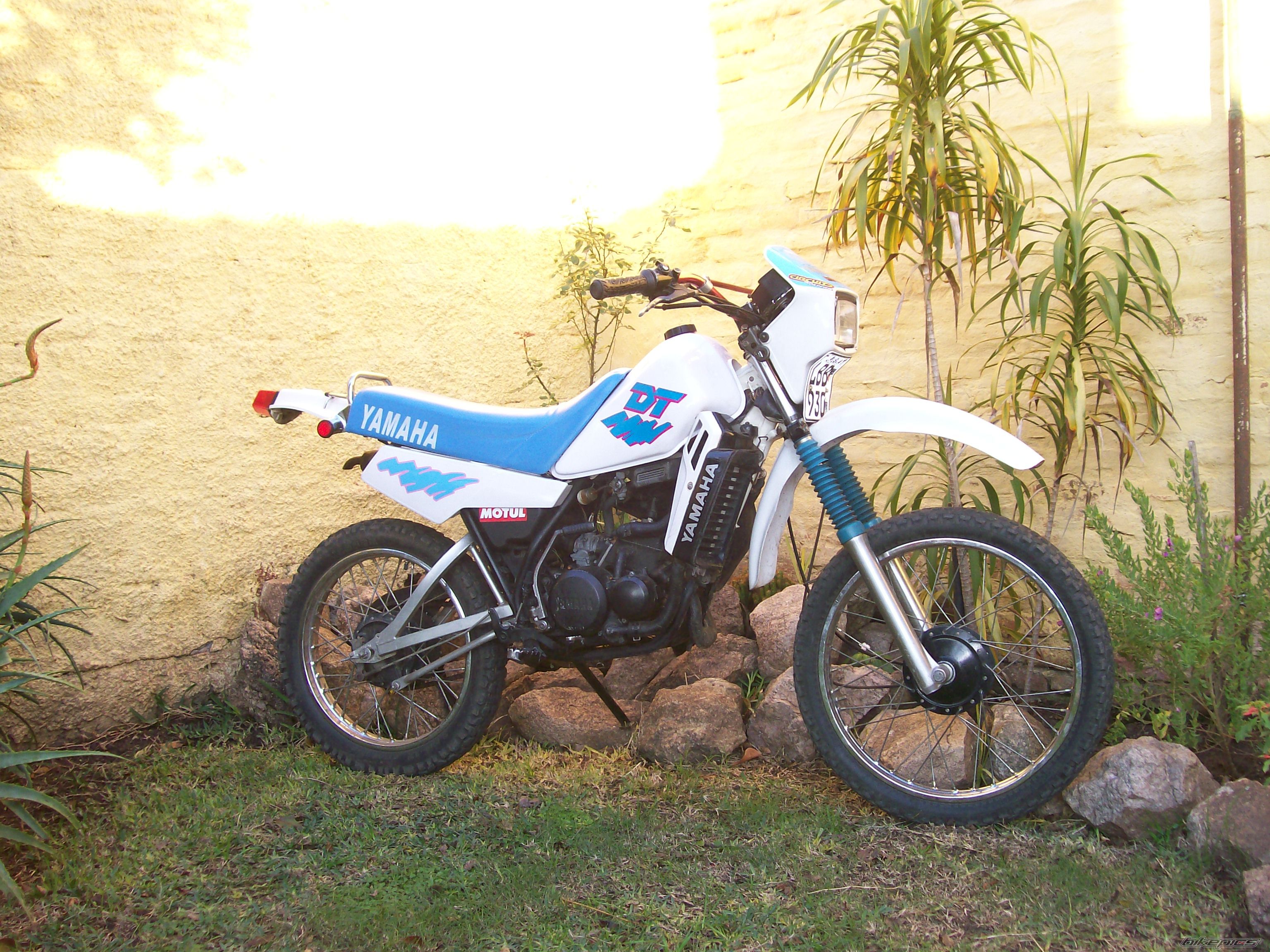 Photo 1700174
