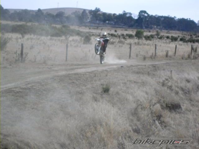 Photo 1700213