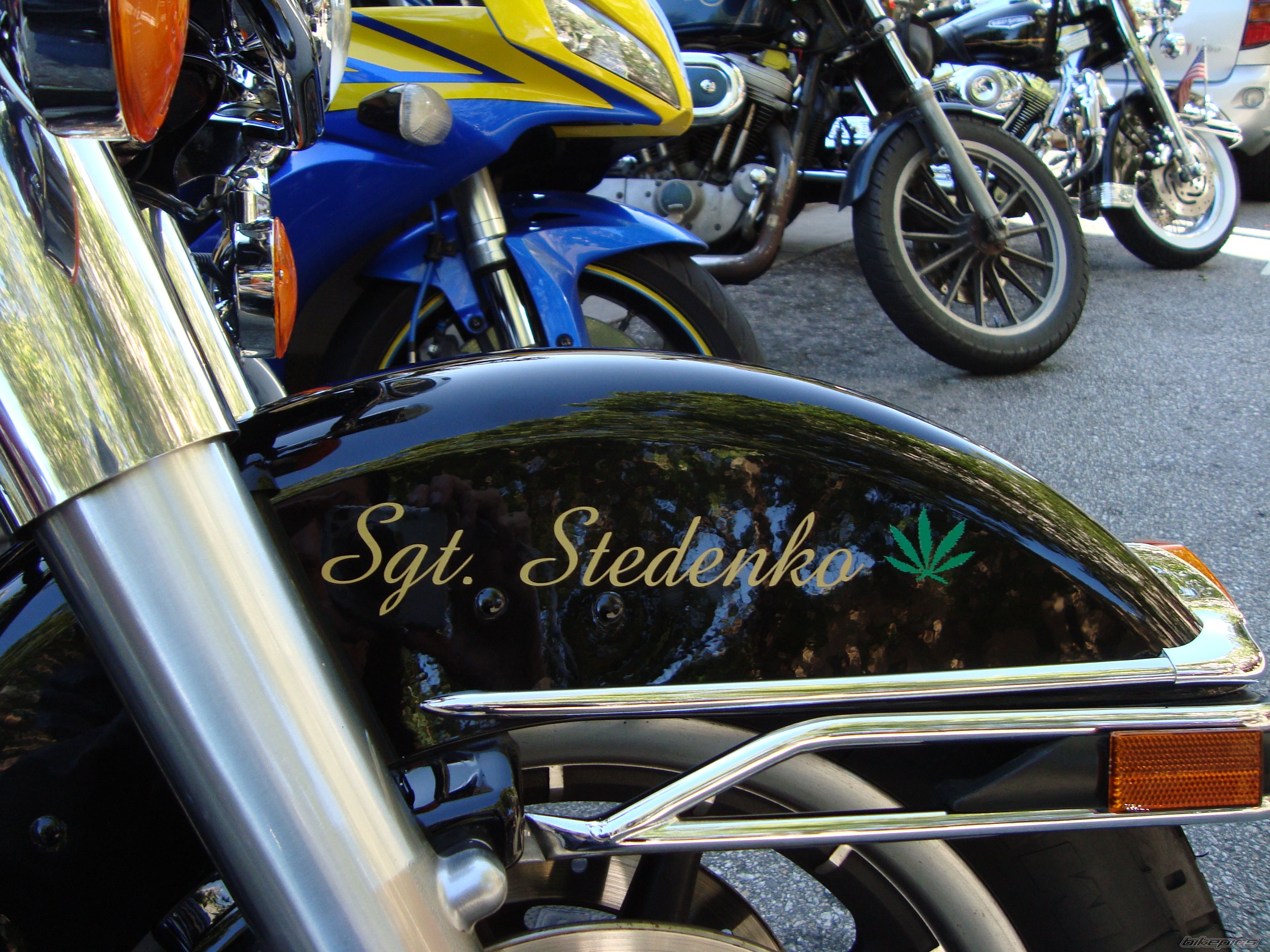 Photo 1700214