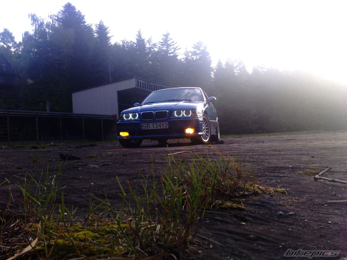 Photo 1700377