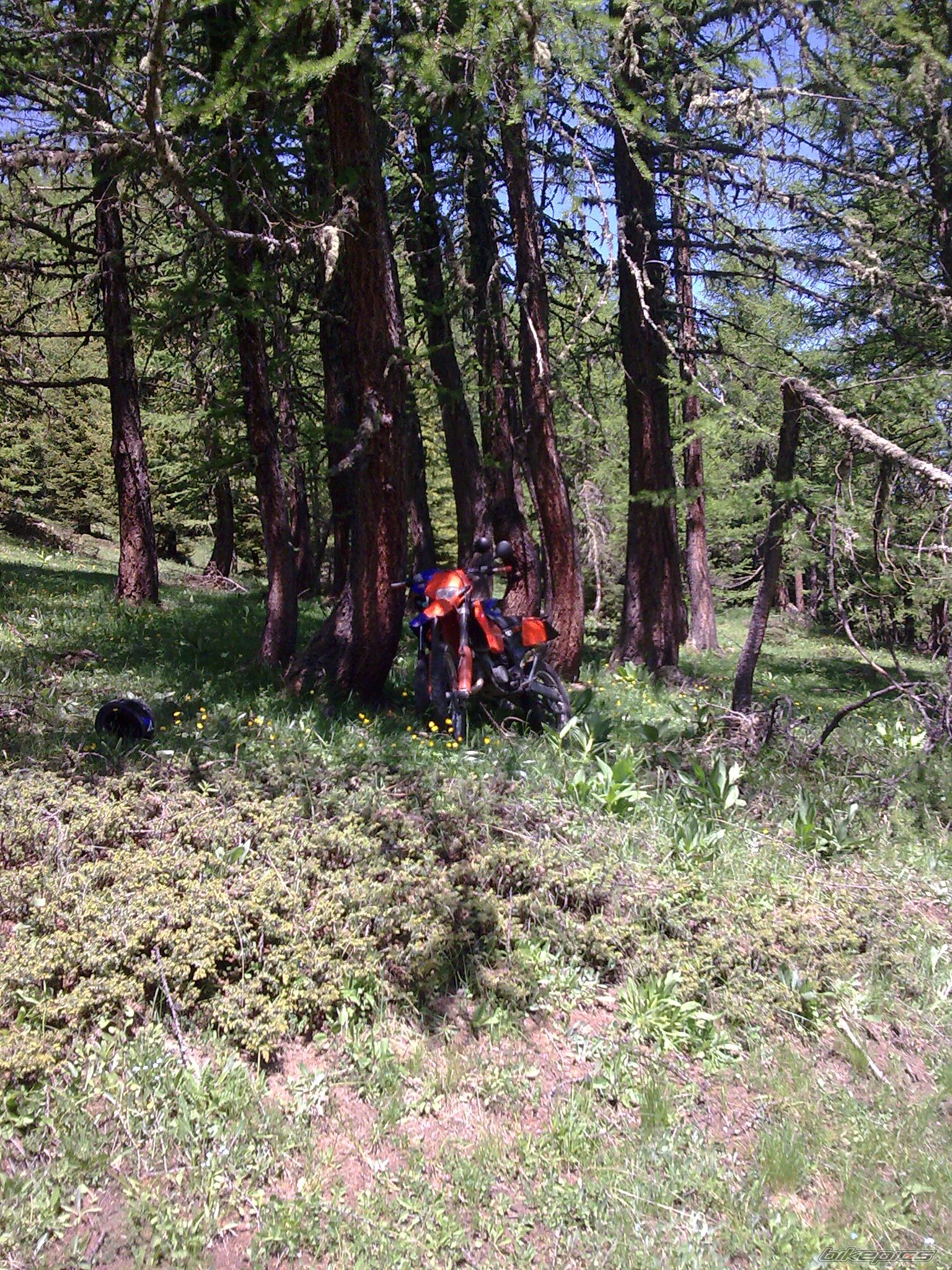 Bike Photo 1700568