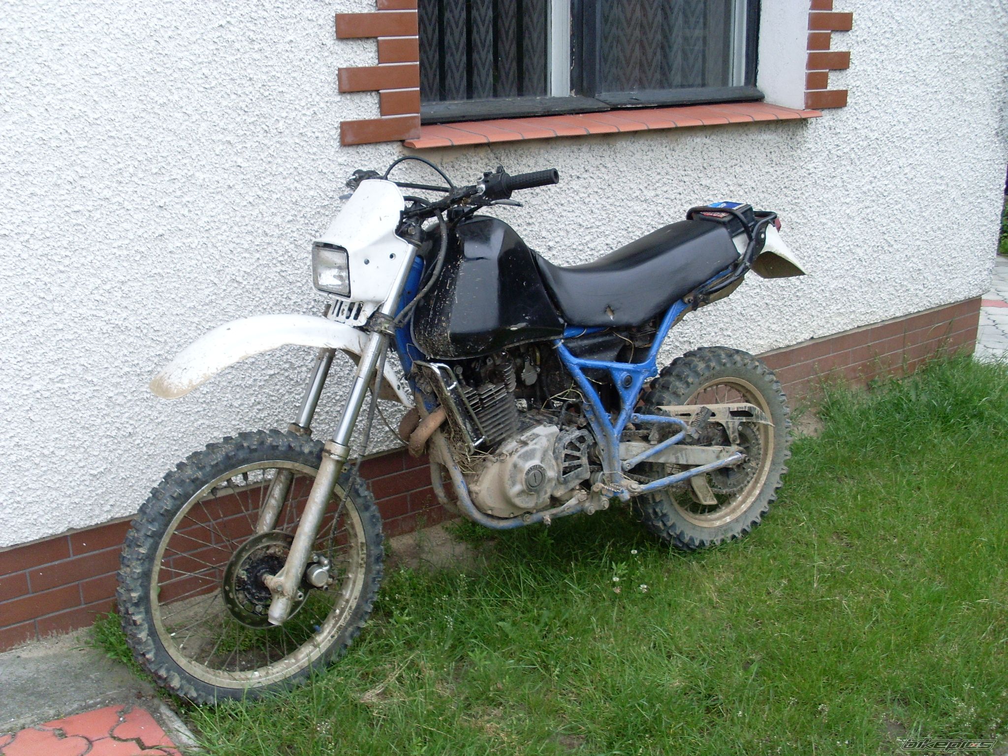 Photo 1700593