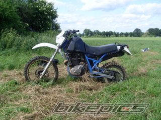 Photo 1700594