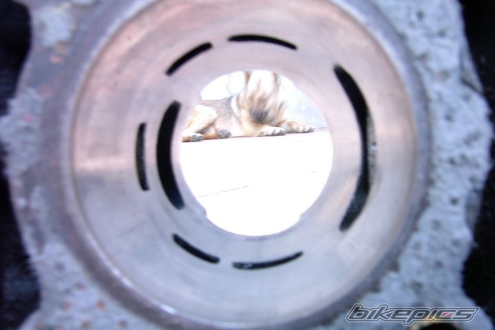 Photo 1700652