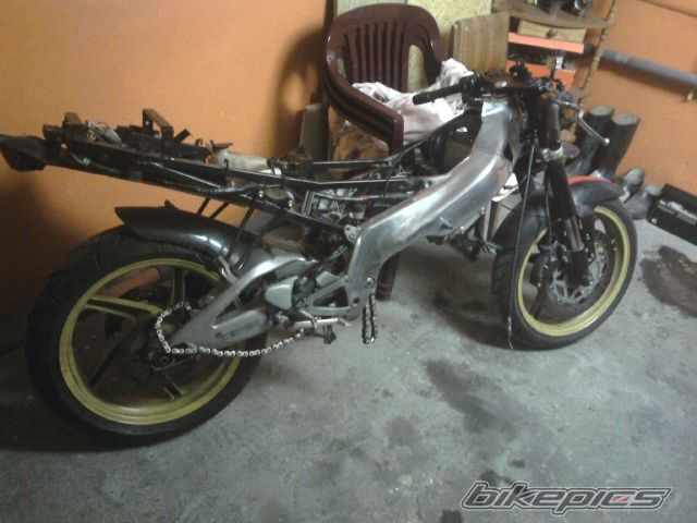 Photo 1701135