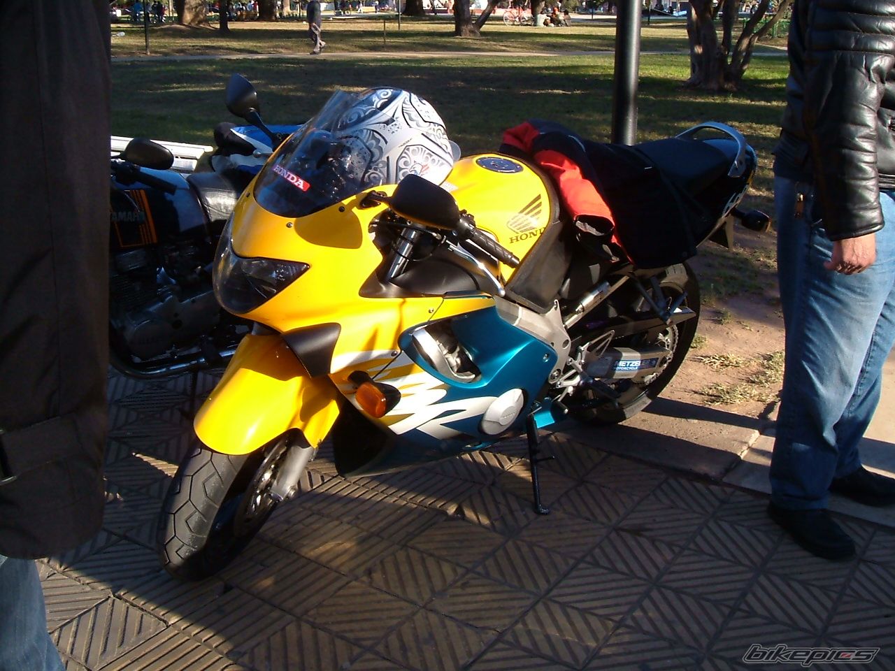 Photo 1701139