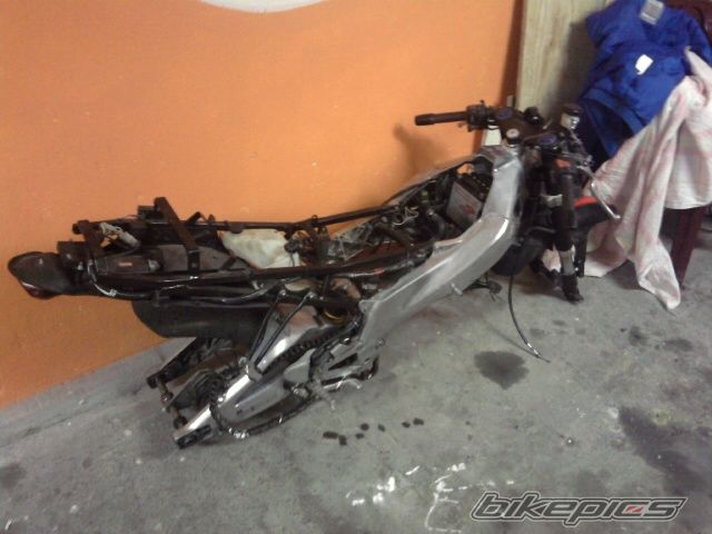 Photo 1701142
