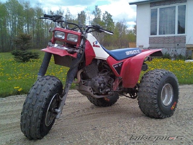 Photo 1701262