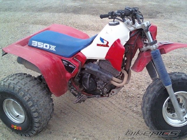 Photo 1701263