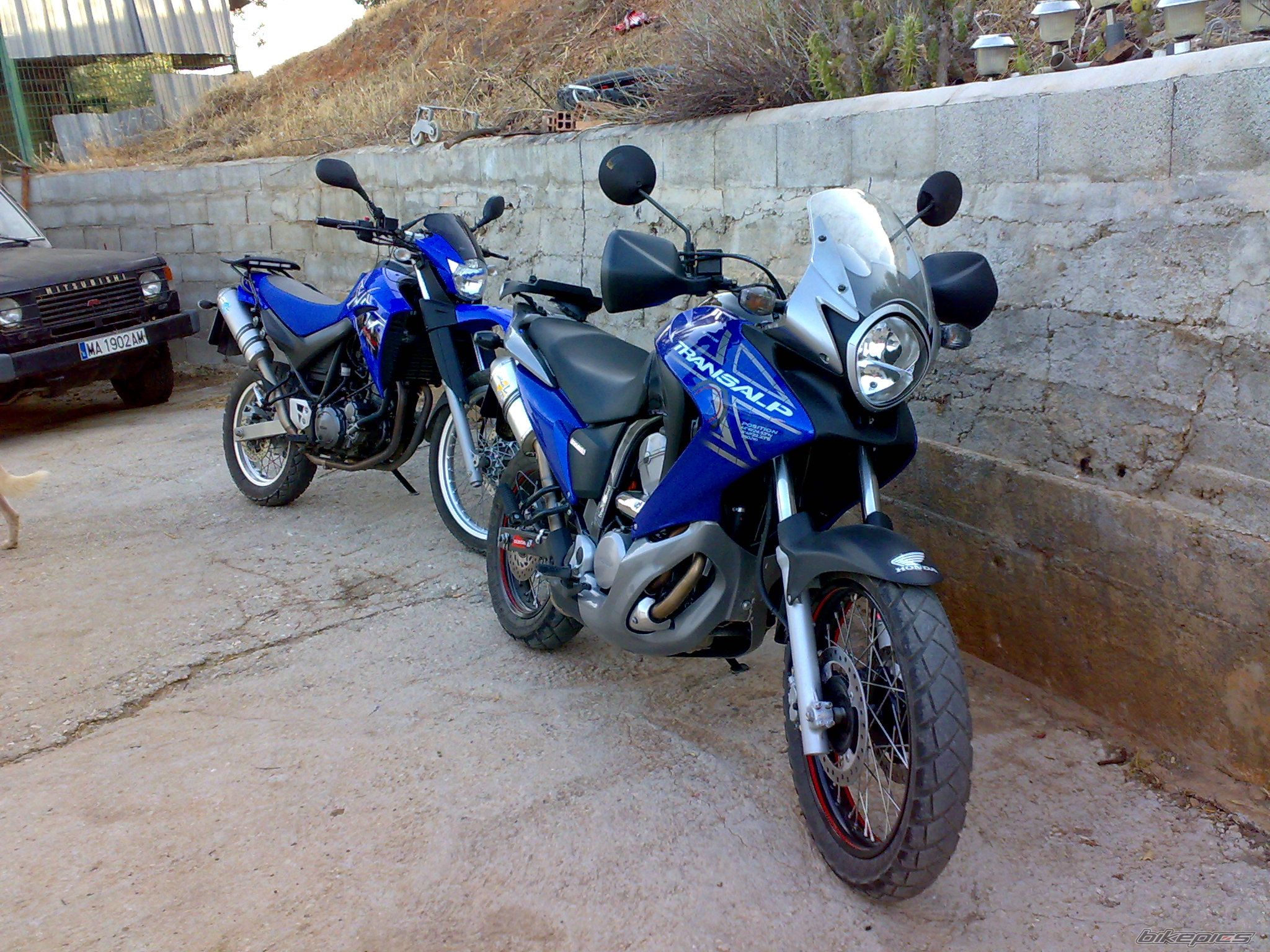 Photo 1701269