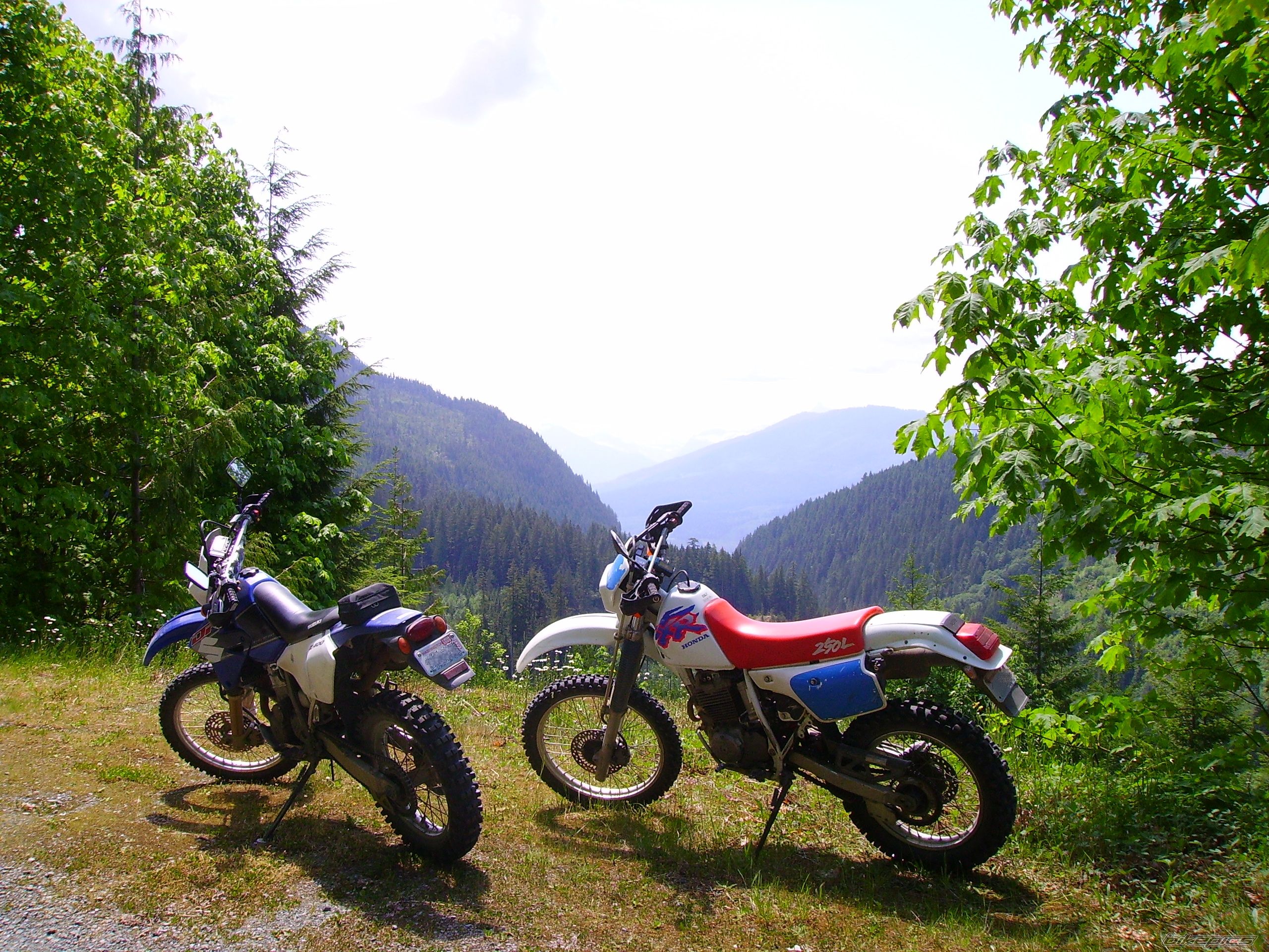 Bike Photo 1701387