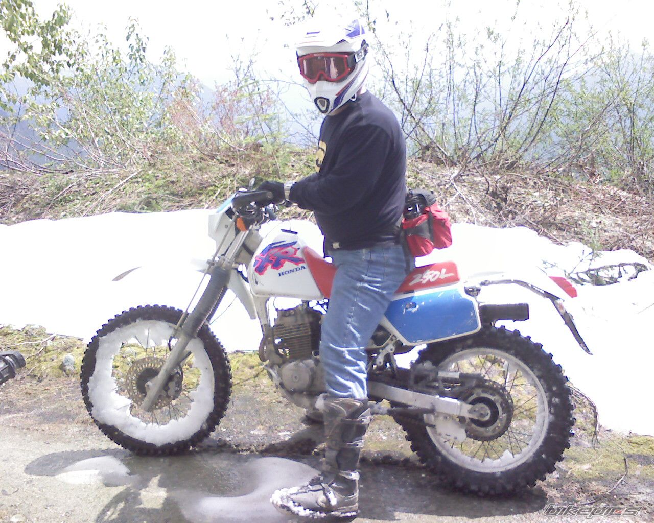 Photo 1701435