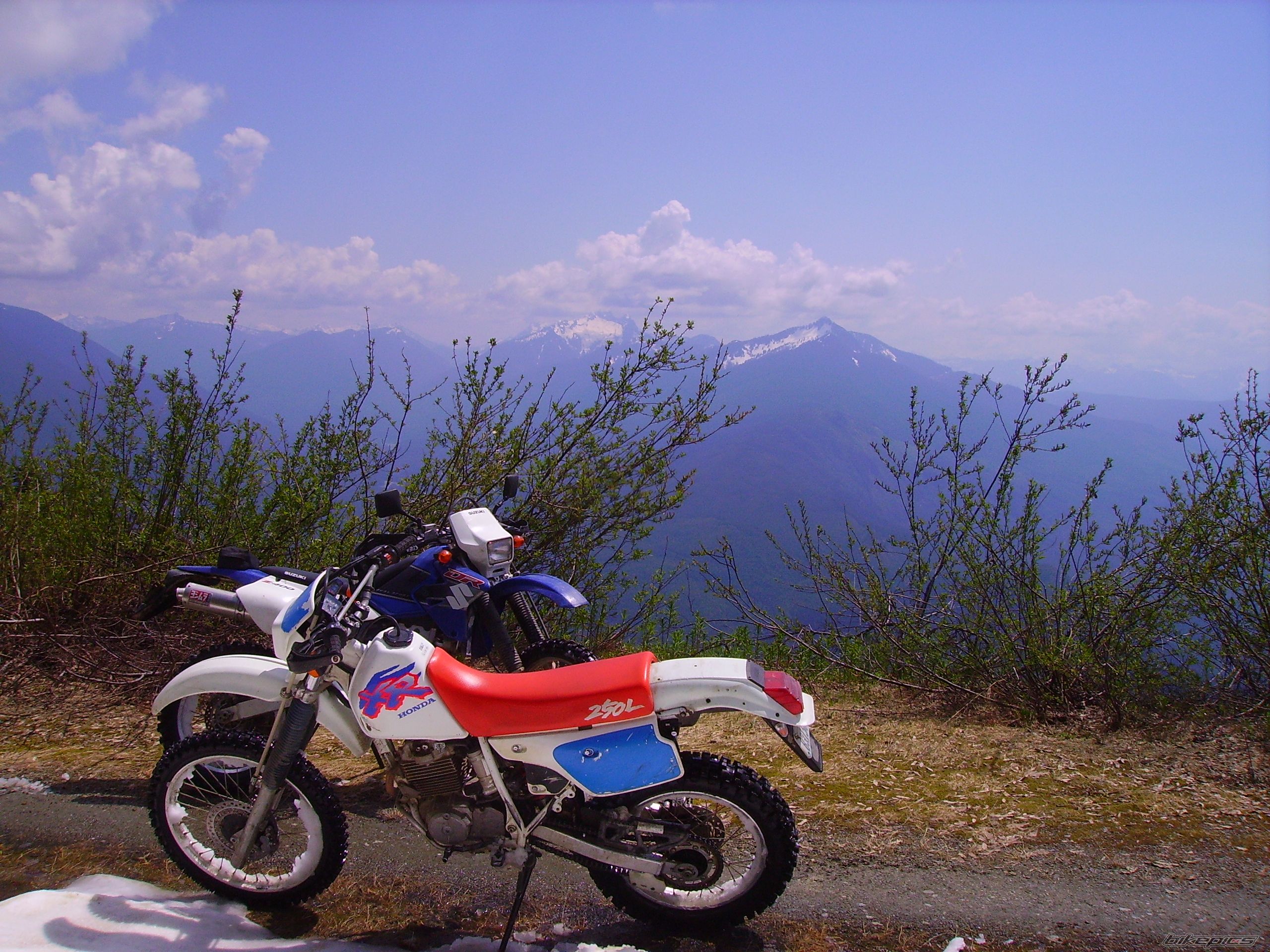 Photo 1701436