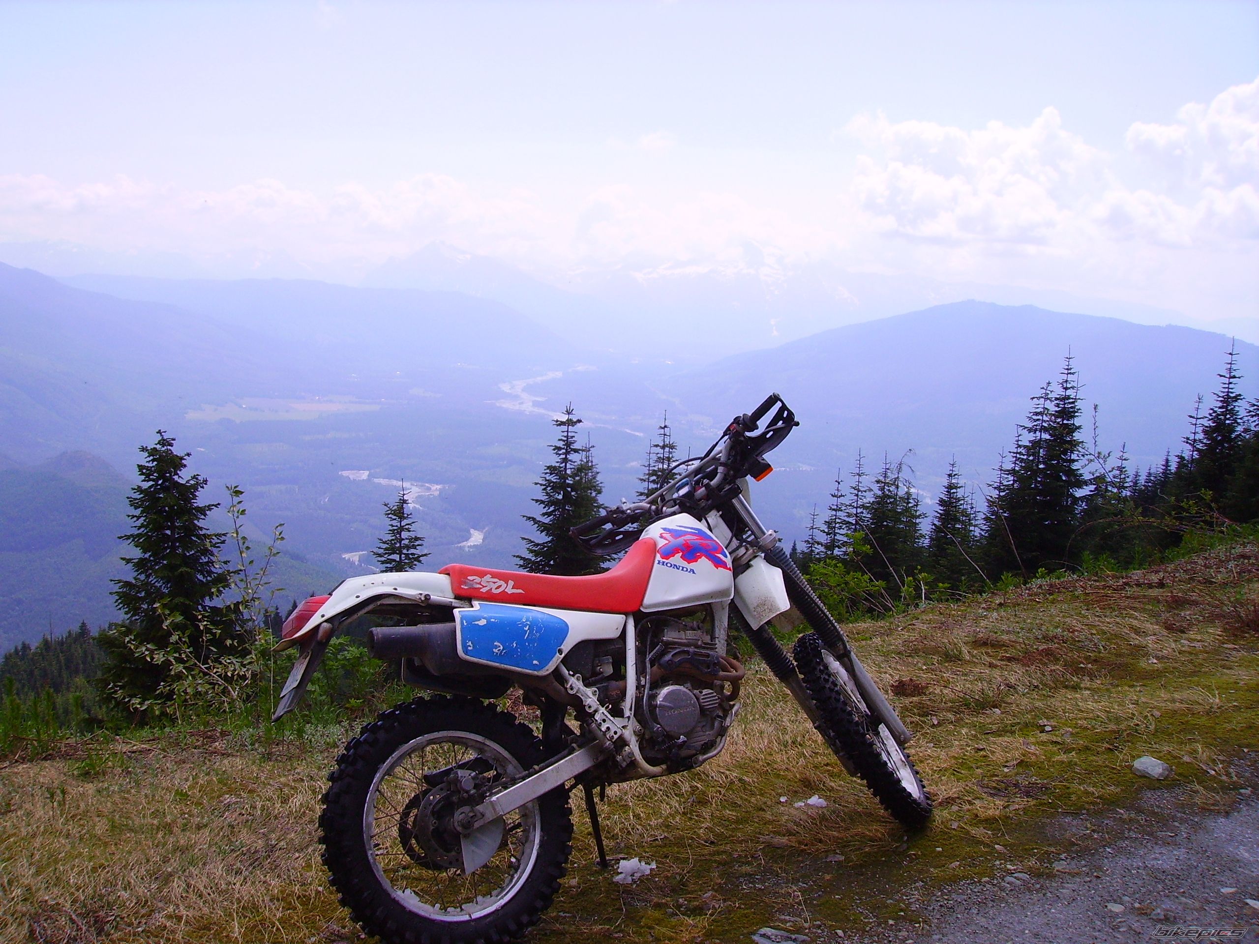Photo 1701445
