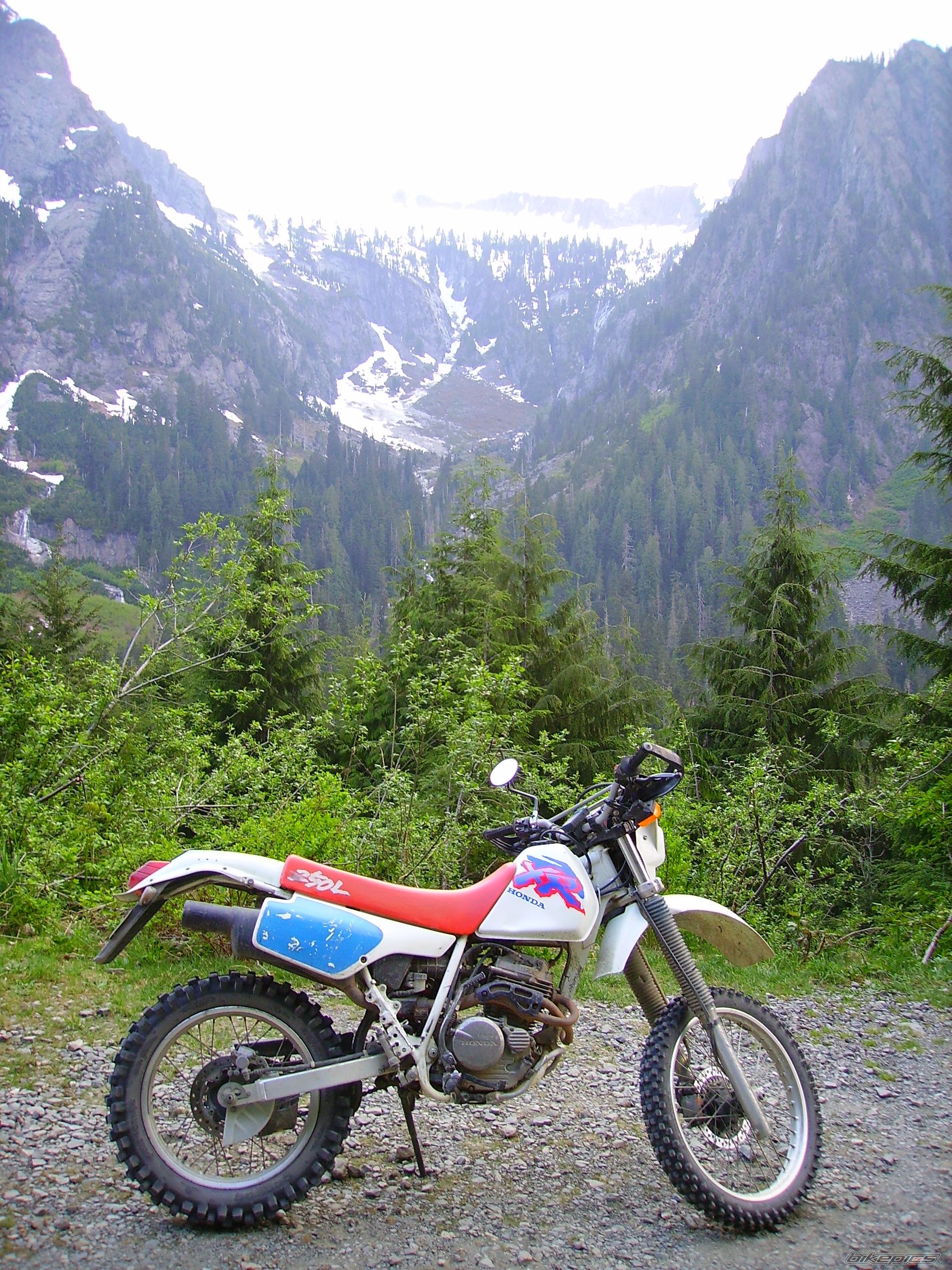 Photo 1701454