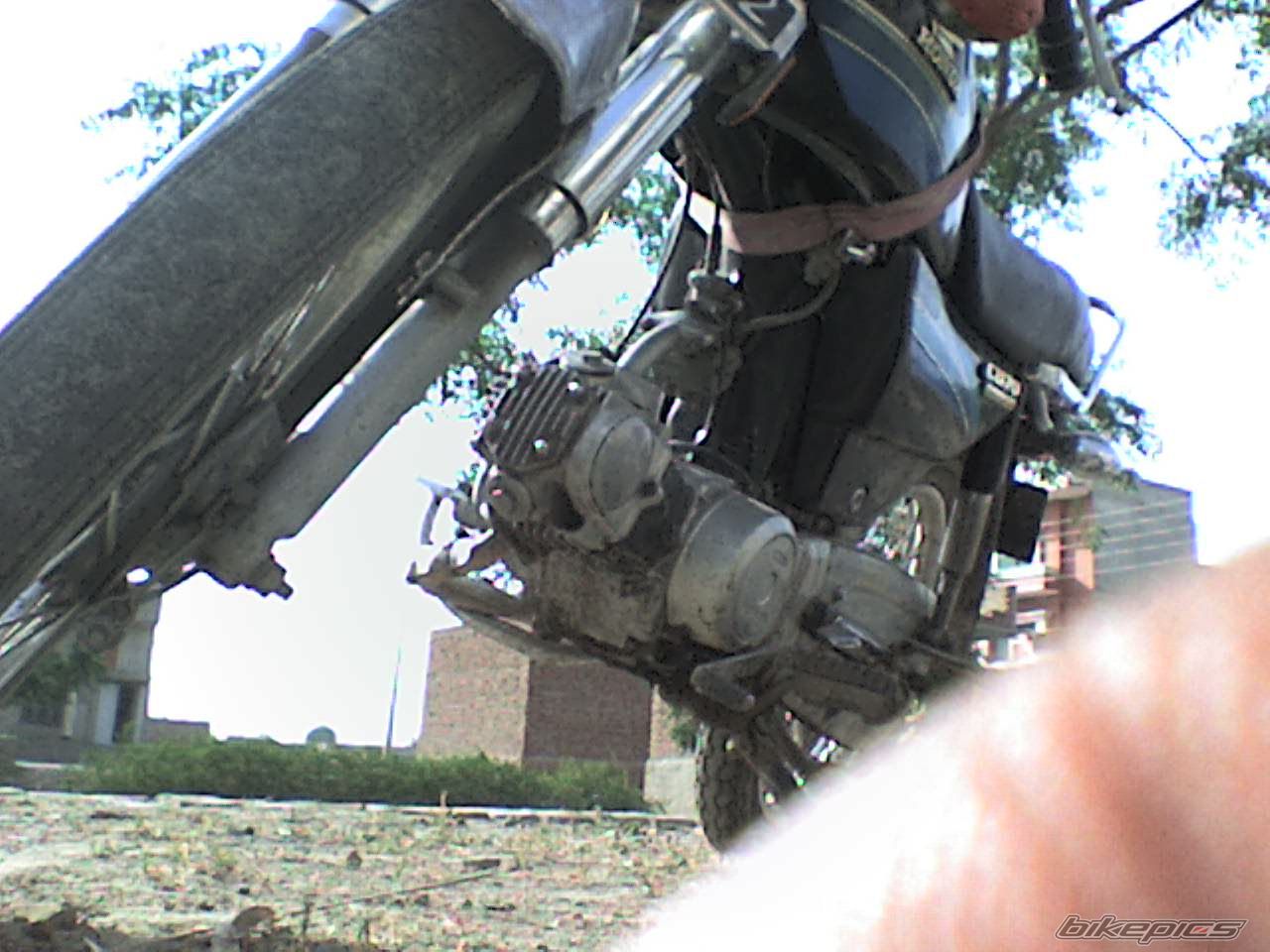 Photo 1701556