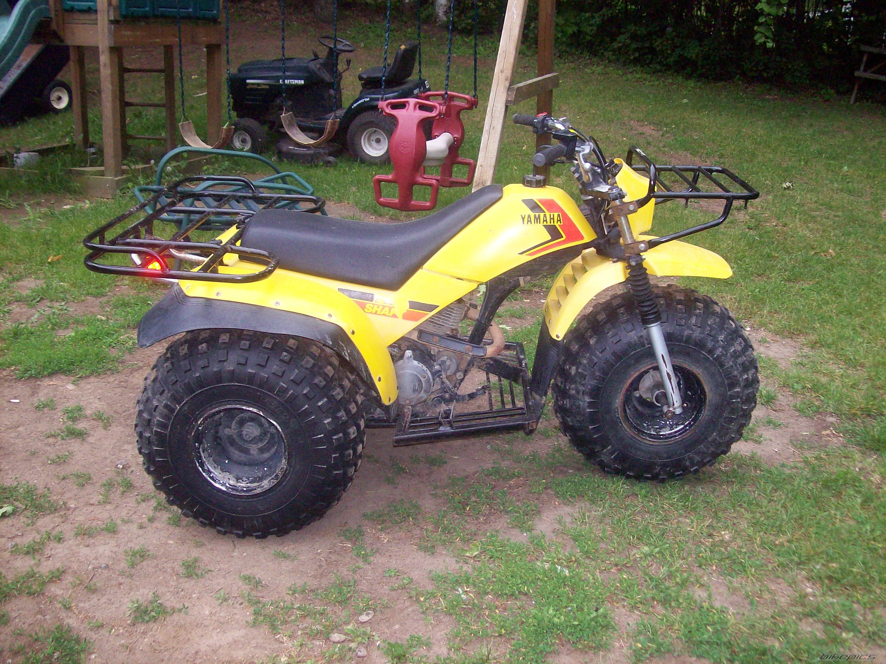 Photo 1701589