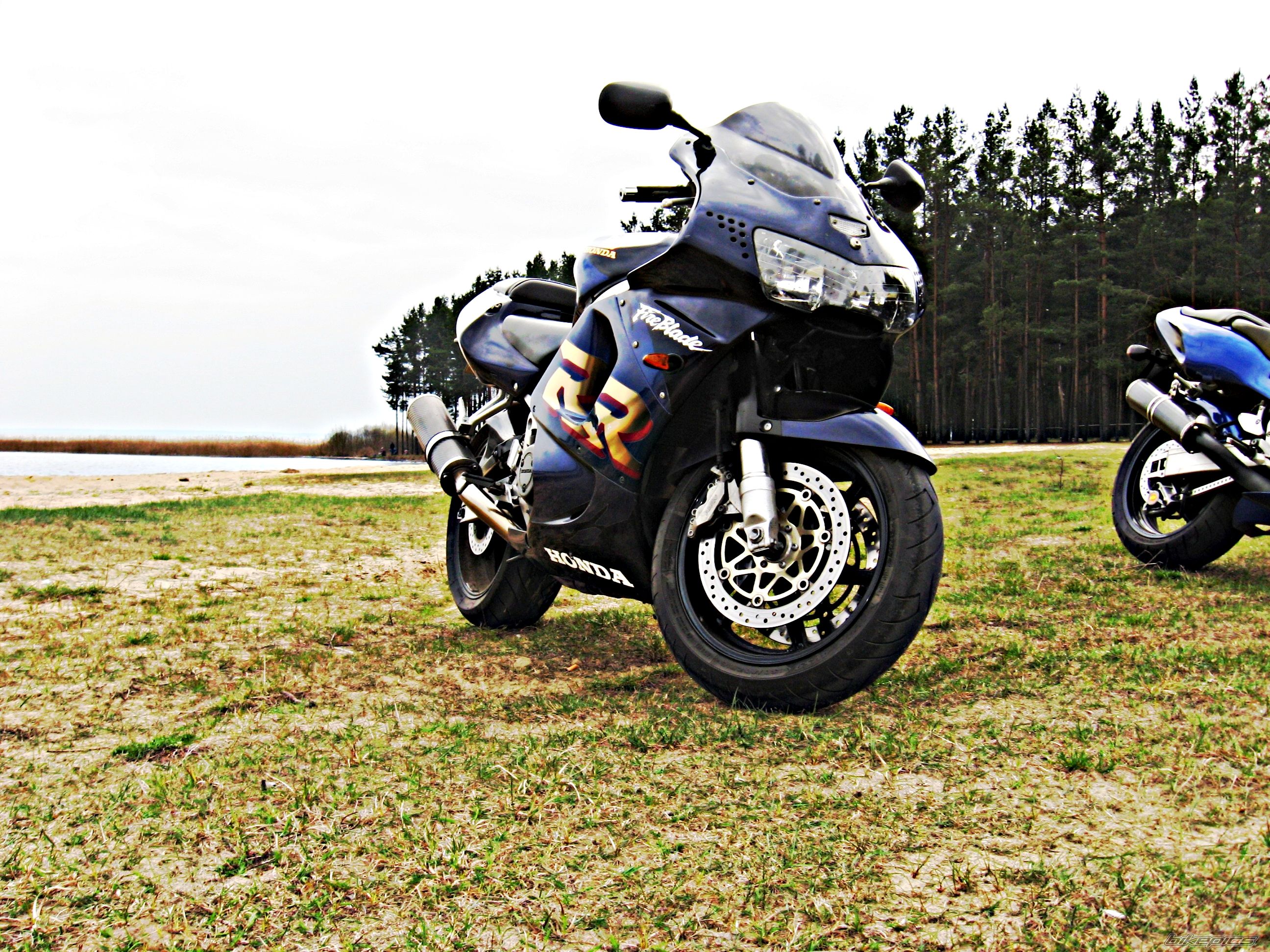 Photo 1701673