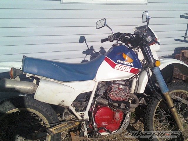 Photo 1701809