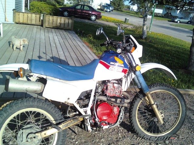 Photo 1701810