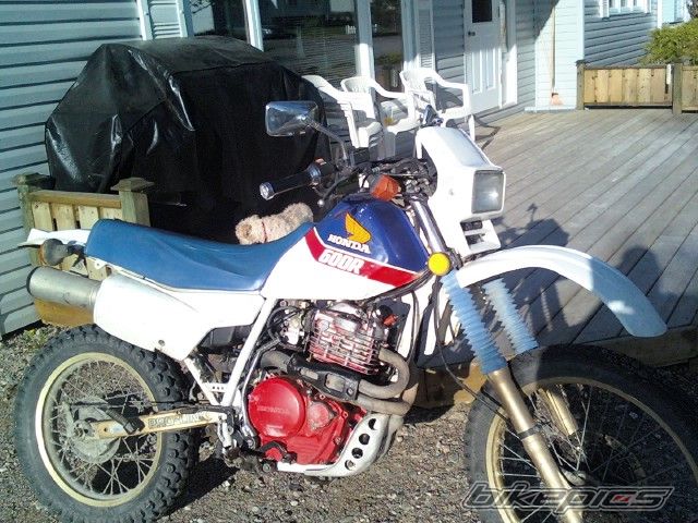 Photo 1701812