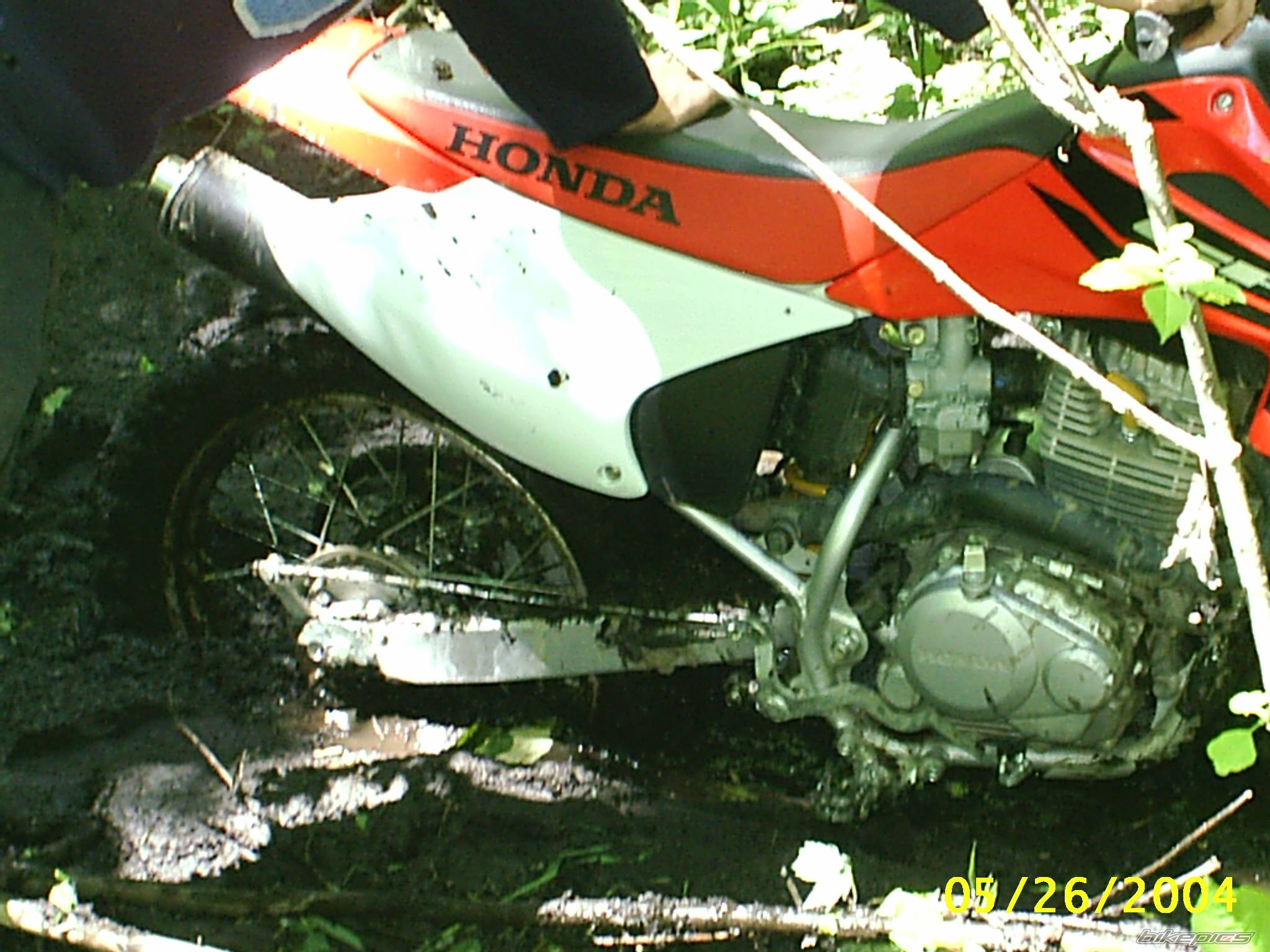 Bike Photo 170219