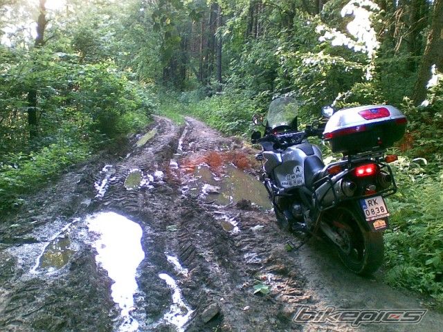 Bike Photo 1702459