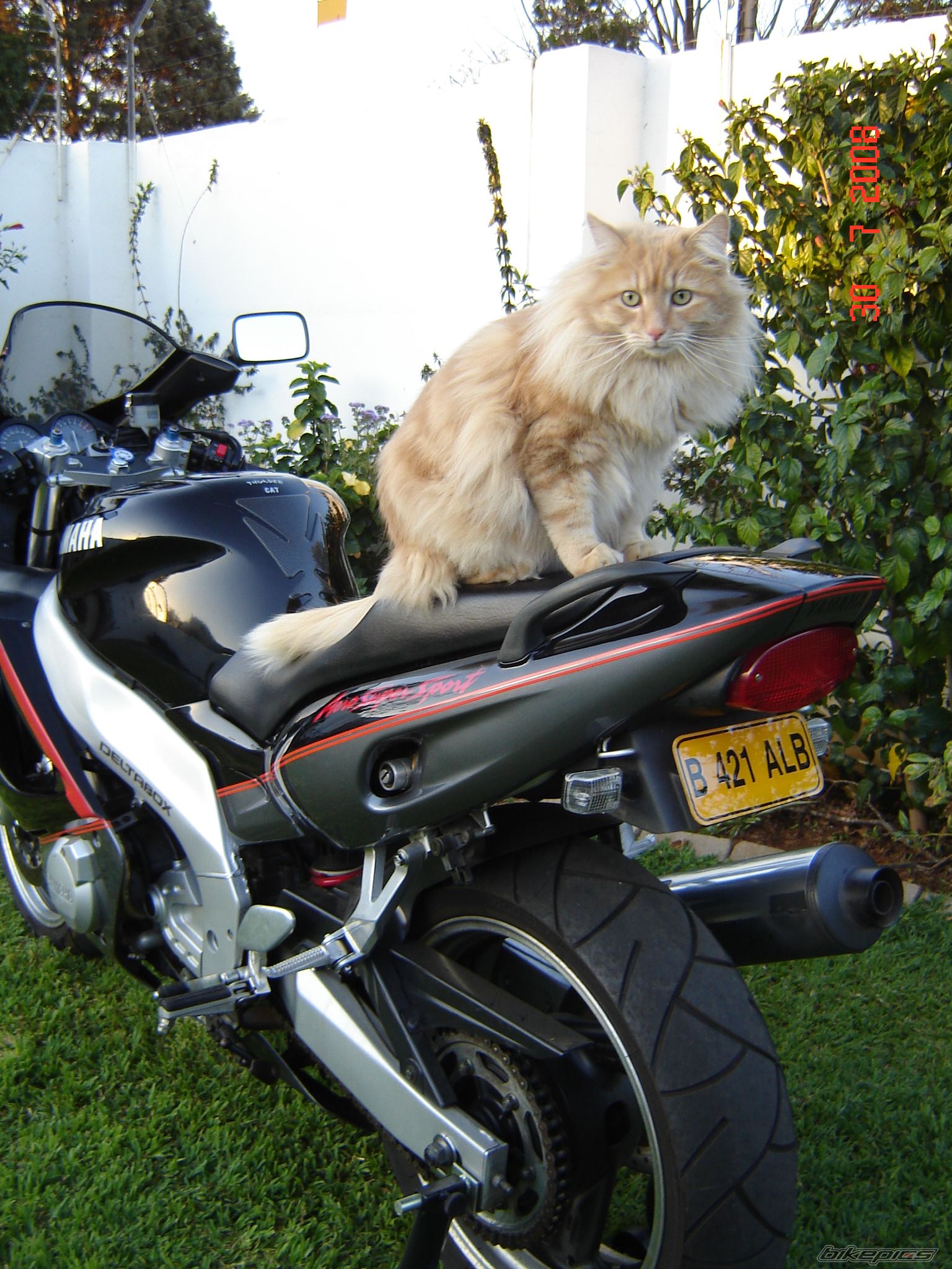 Bike Photo 1702690