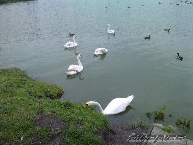 Photo 1702973