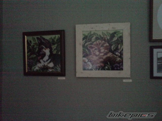 Photo 1702976