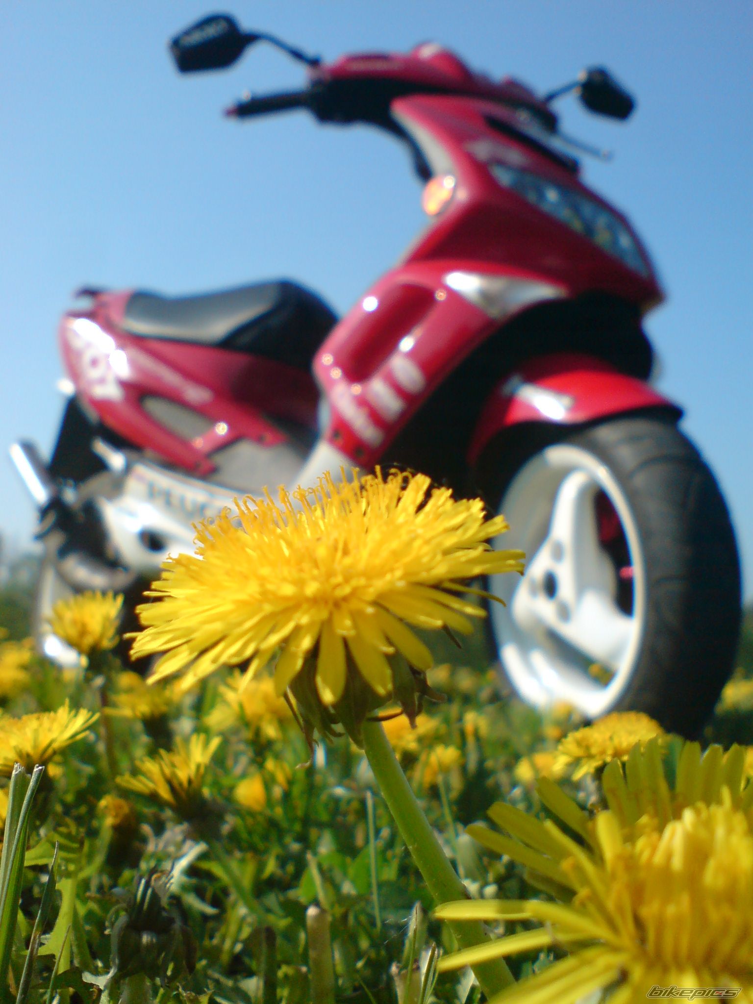 Bike Photo 1703124