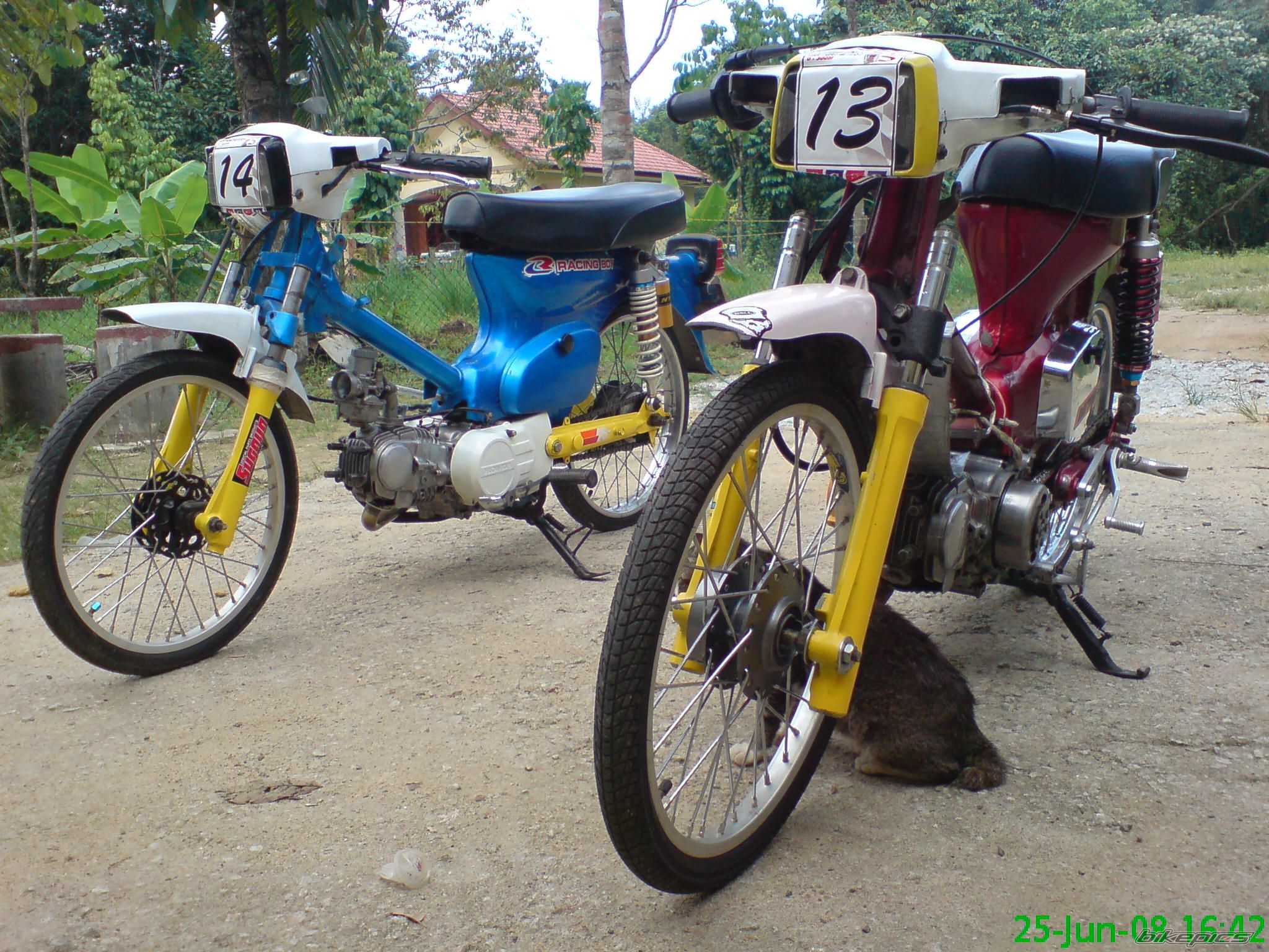 Bike Photo 1703192