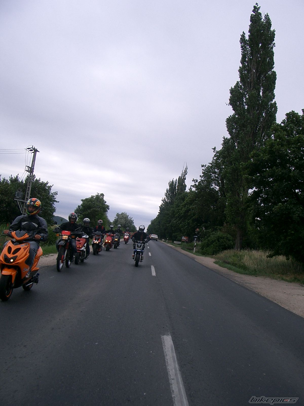 Photo 1703440