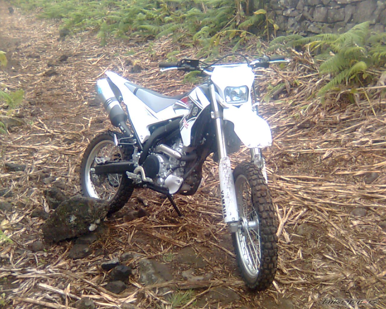 Bike Photo 1703490