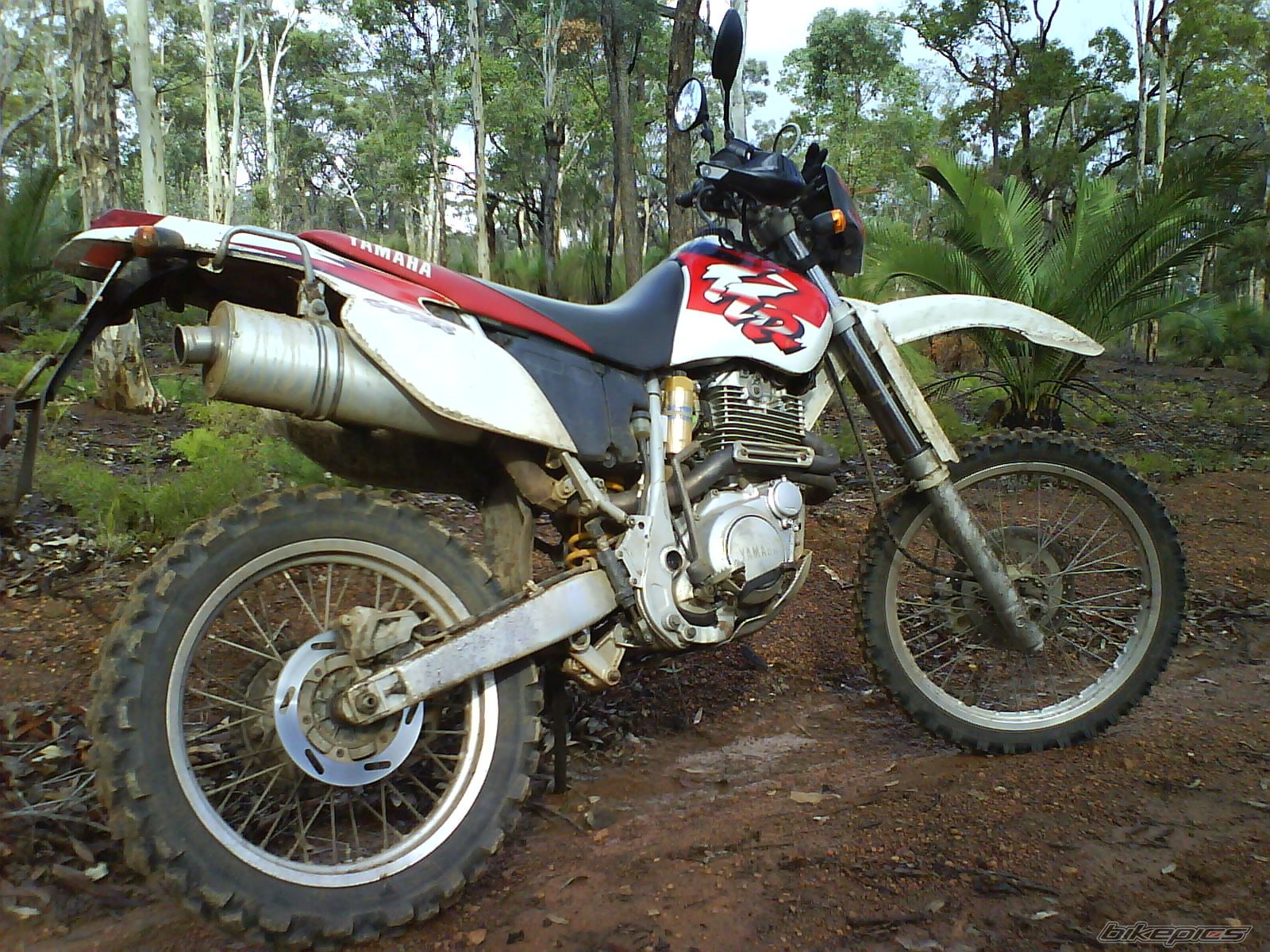 Photo 1703638
