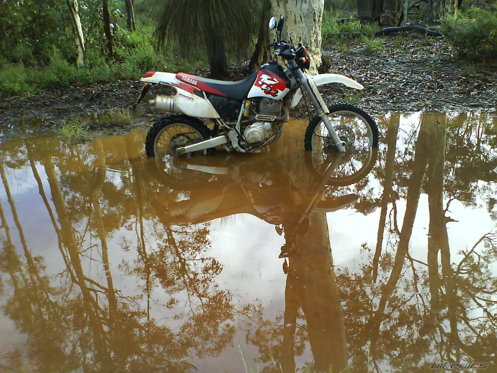 Photo 1703641