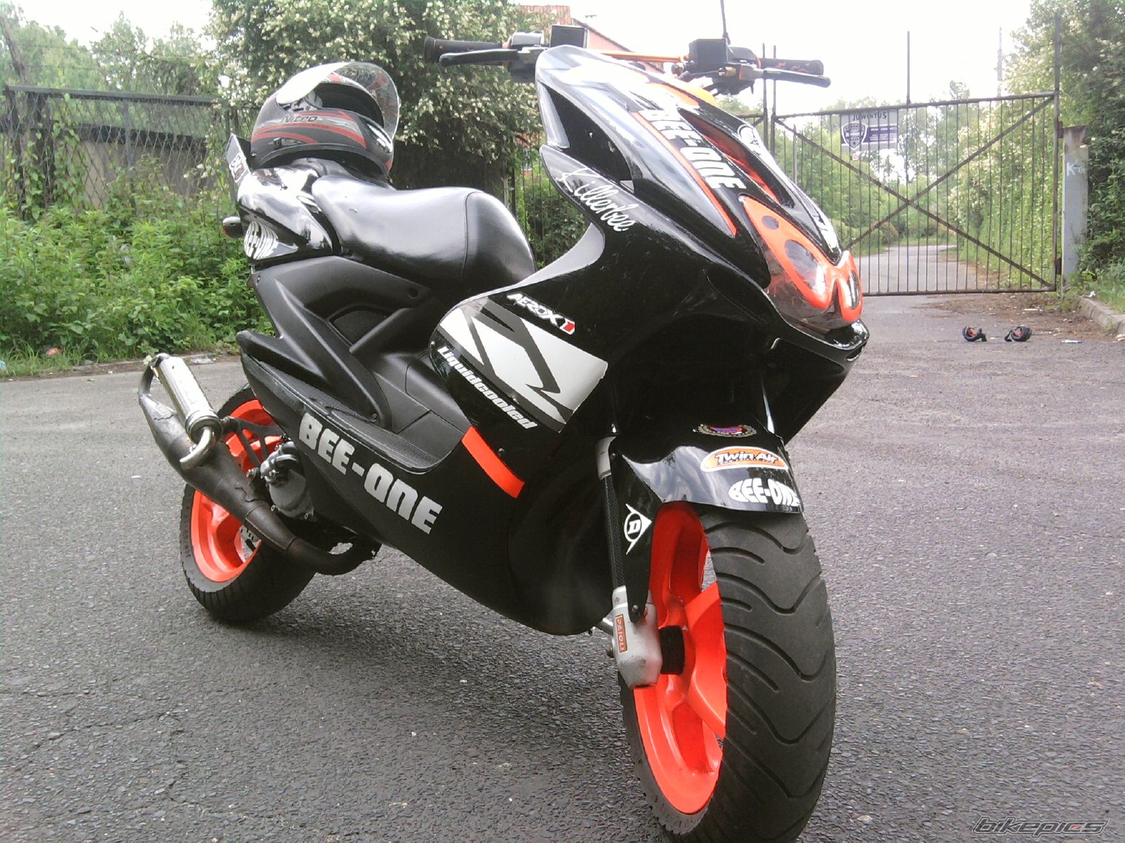 Photo 1703645