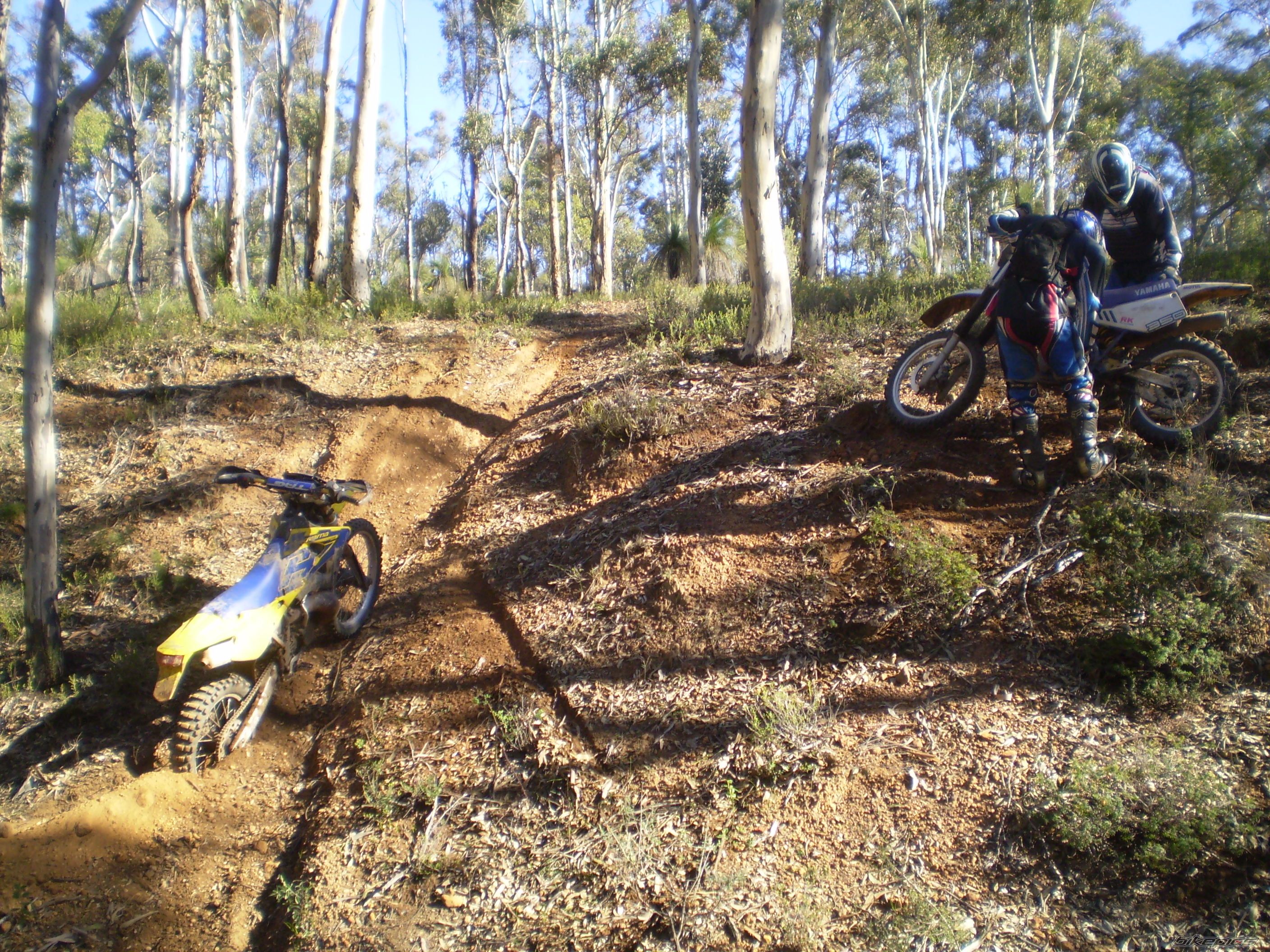 Photo 1703658