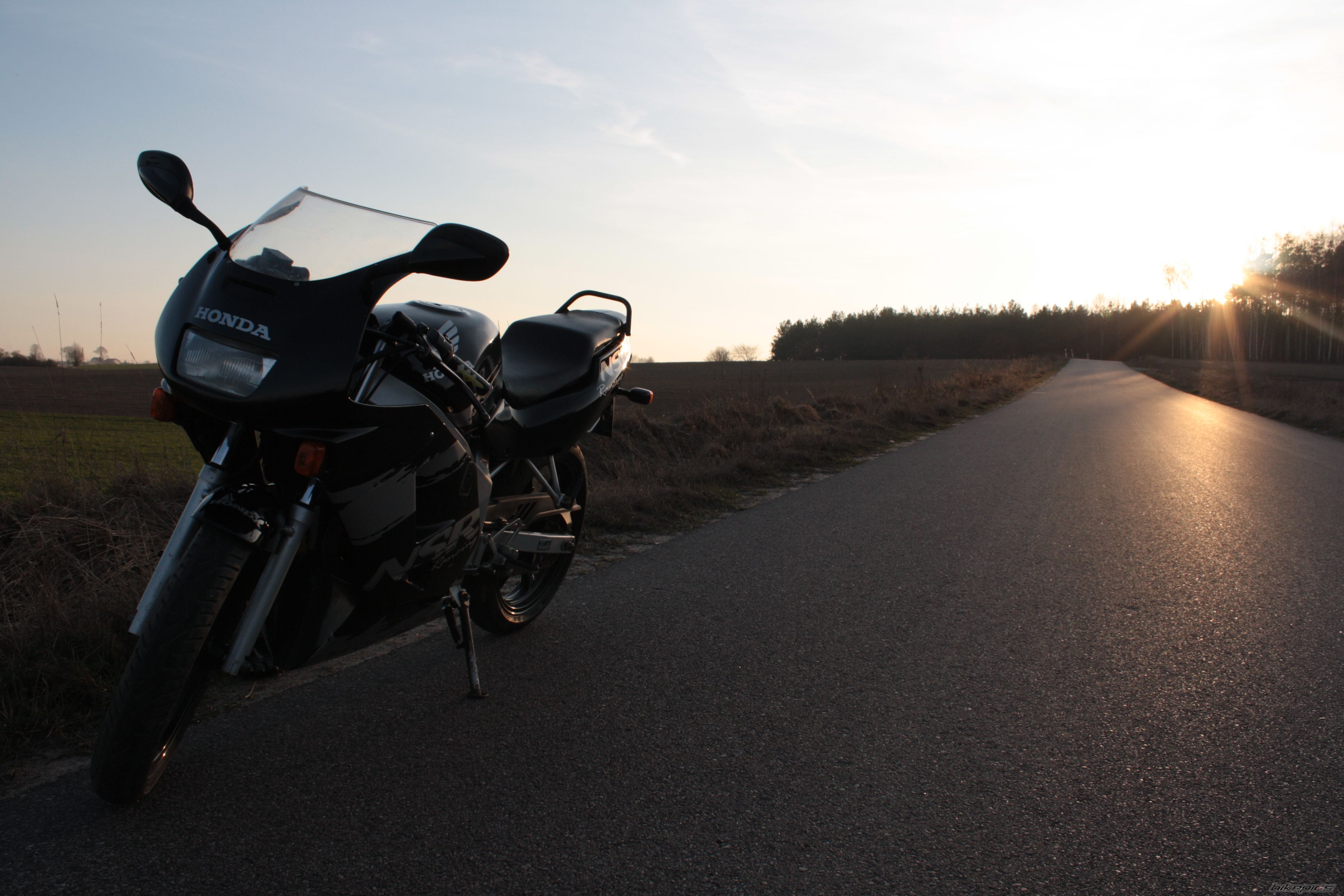 Photo 1703660
