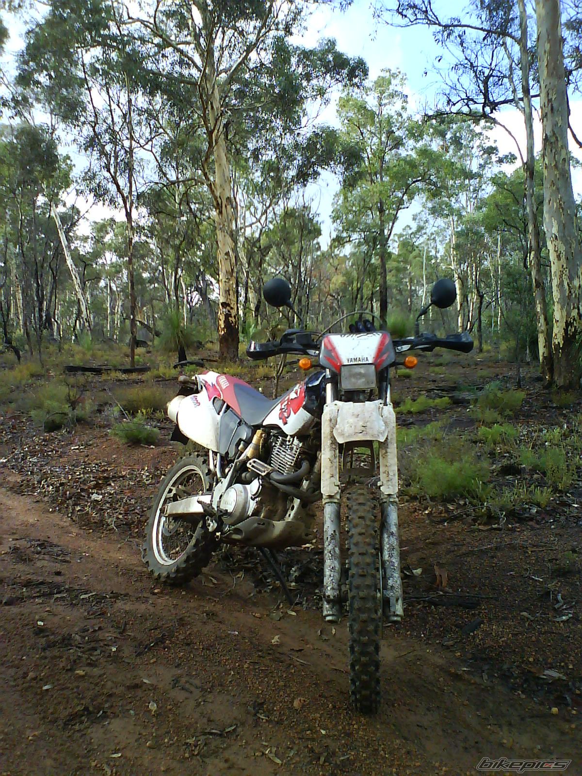 Photo 1703670