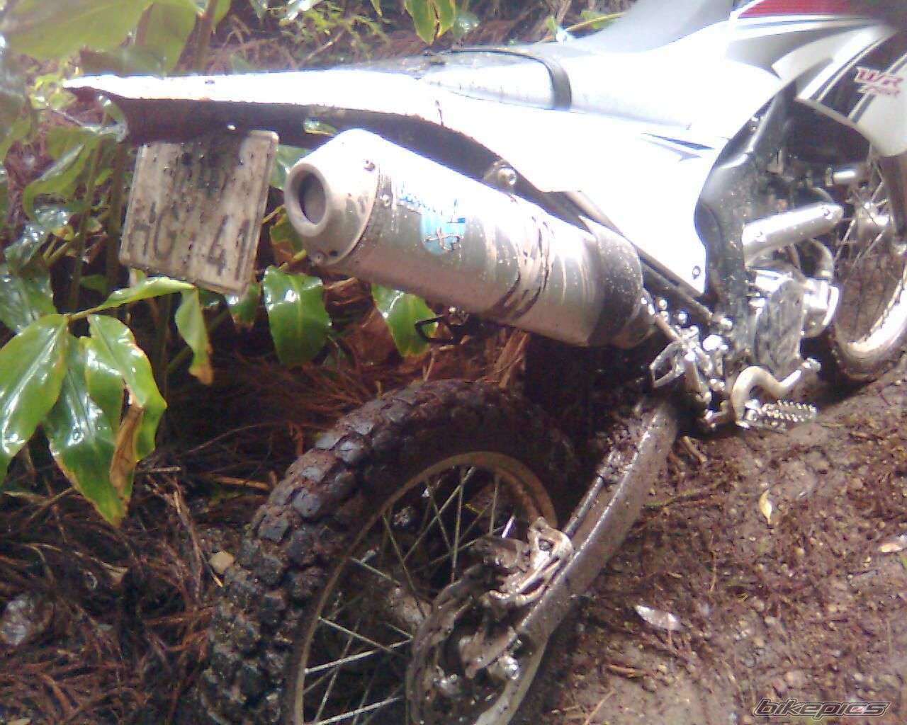 Photo 1703673