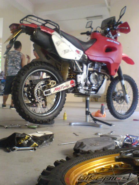 Photo 1704294