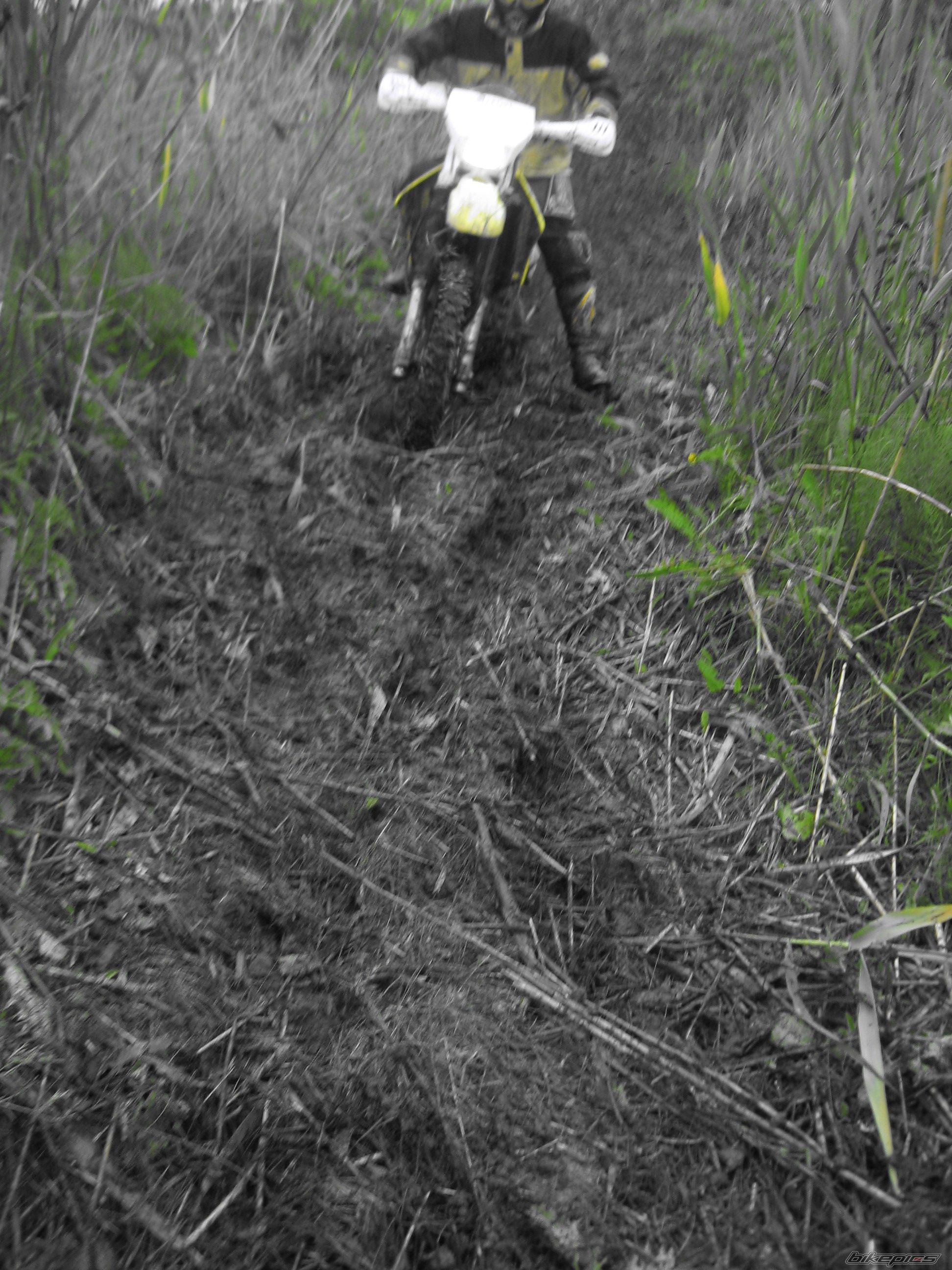 Photo 1704403