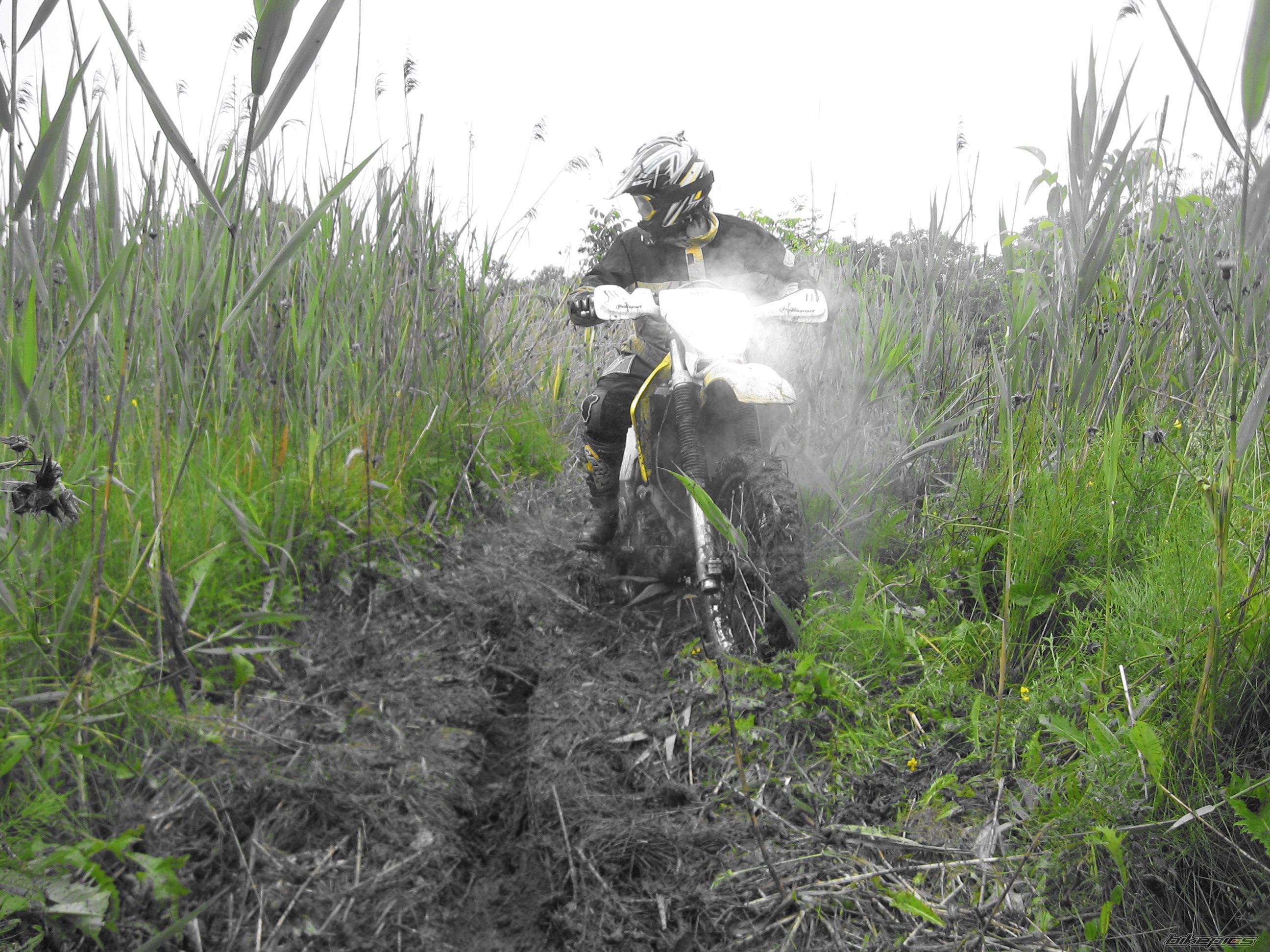 Photo 1704412