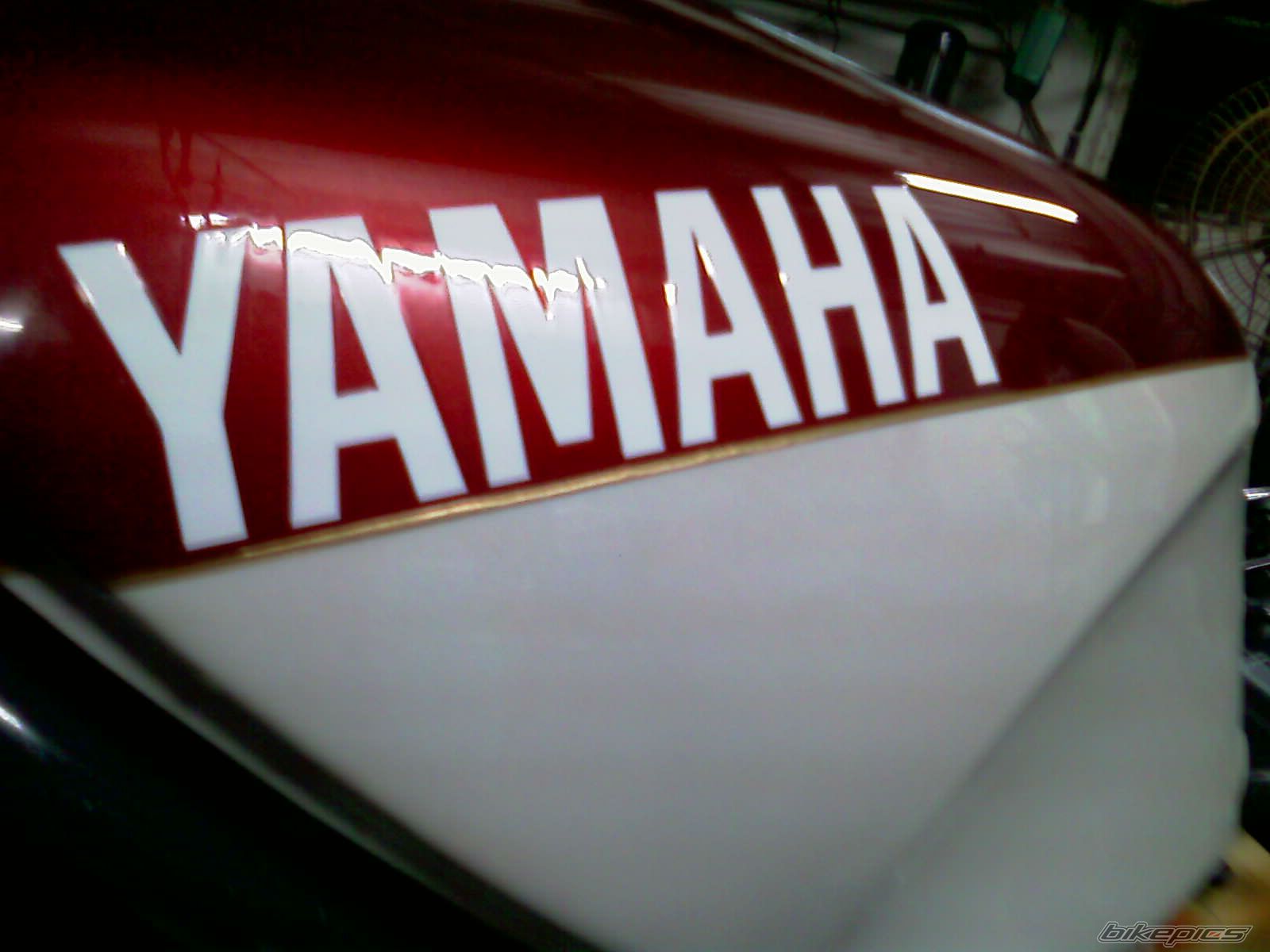 Photo 1704687