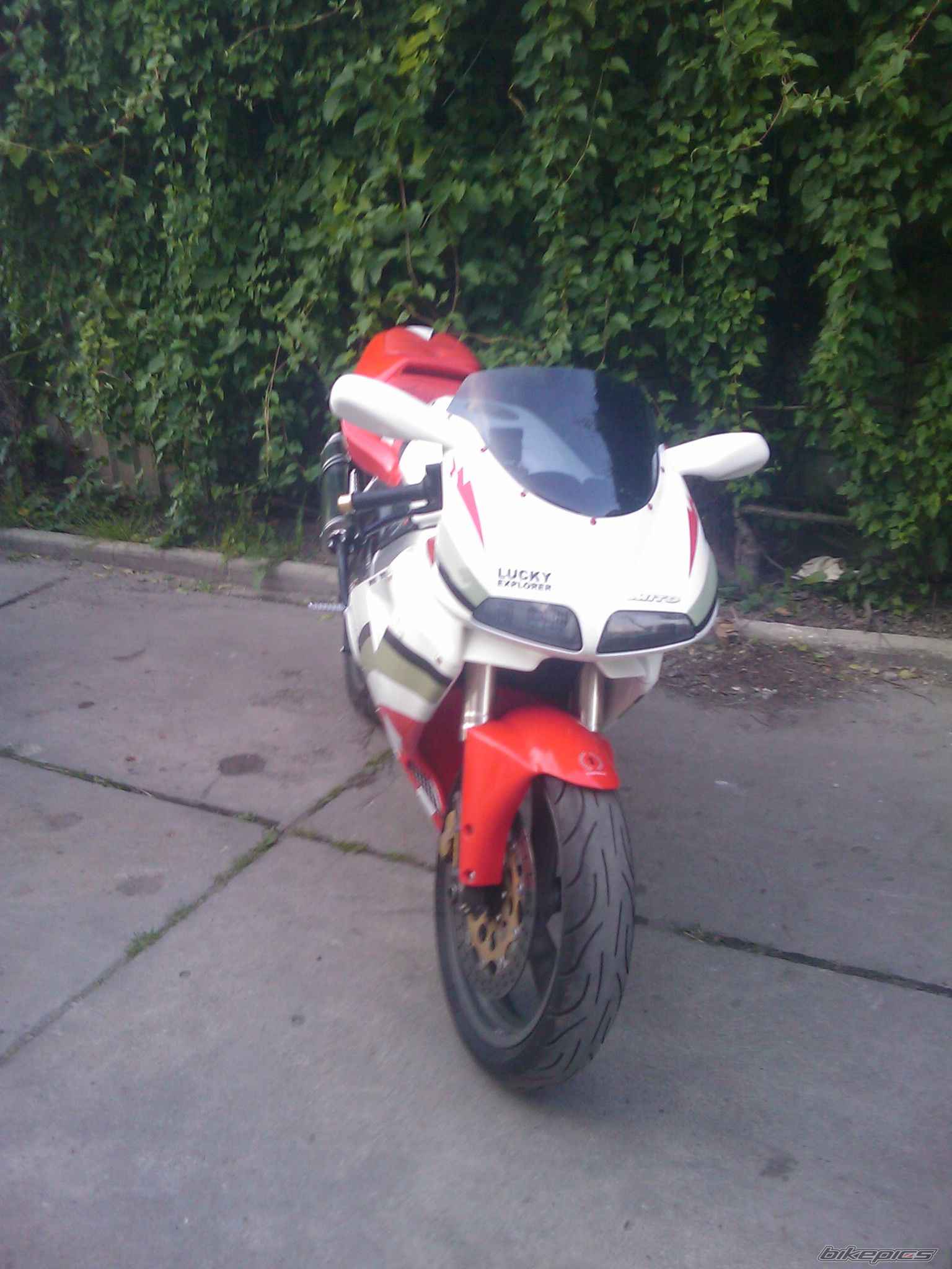 Photo 1704751