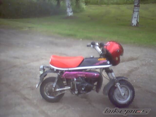 Photo 170496