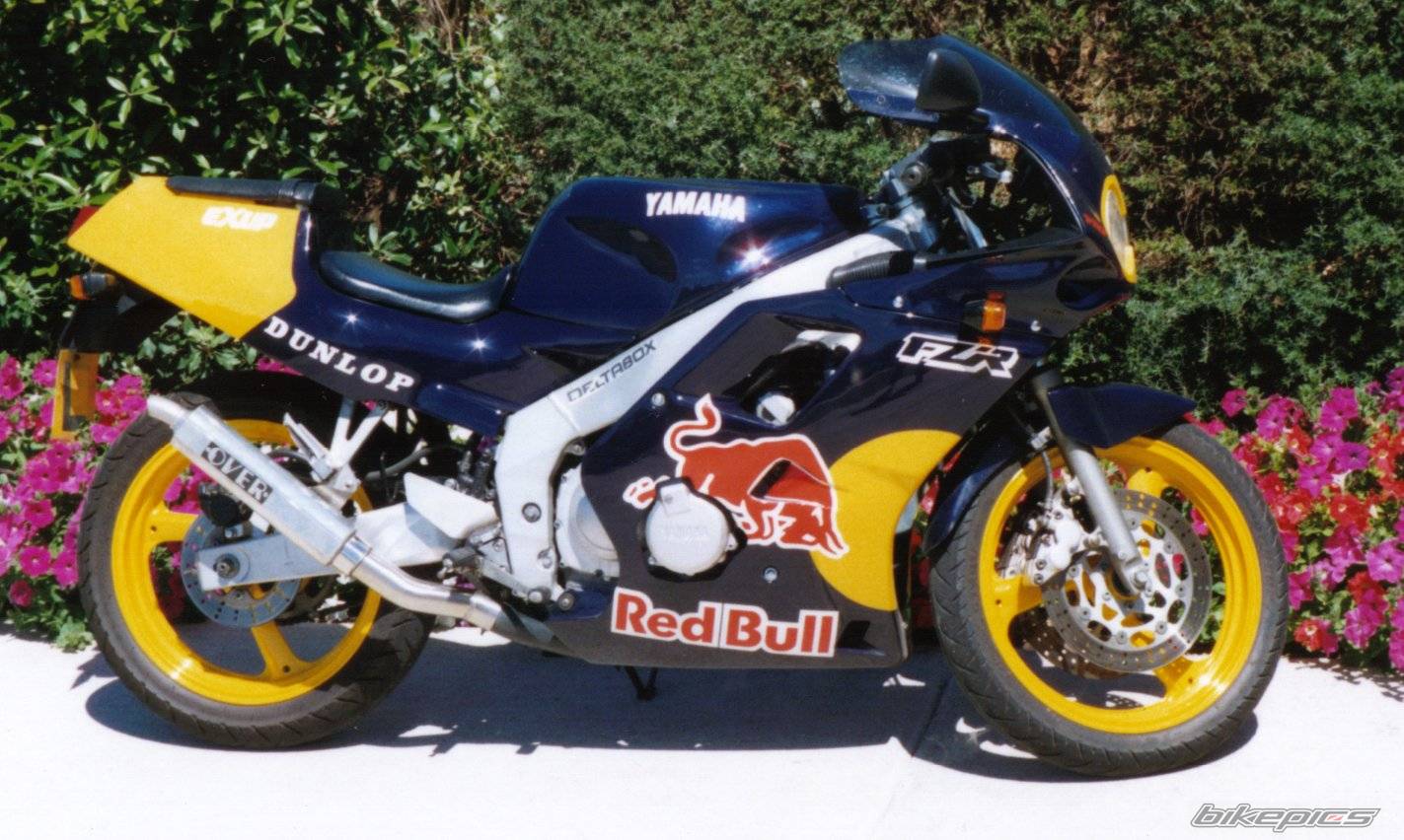 Bike Photo 1705