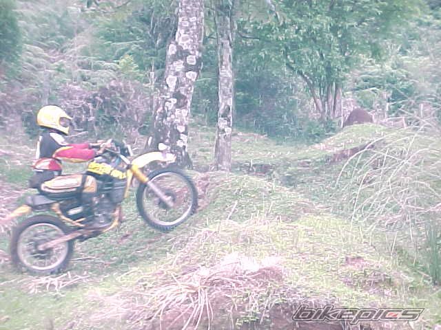 Photo 1706167
