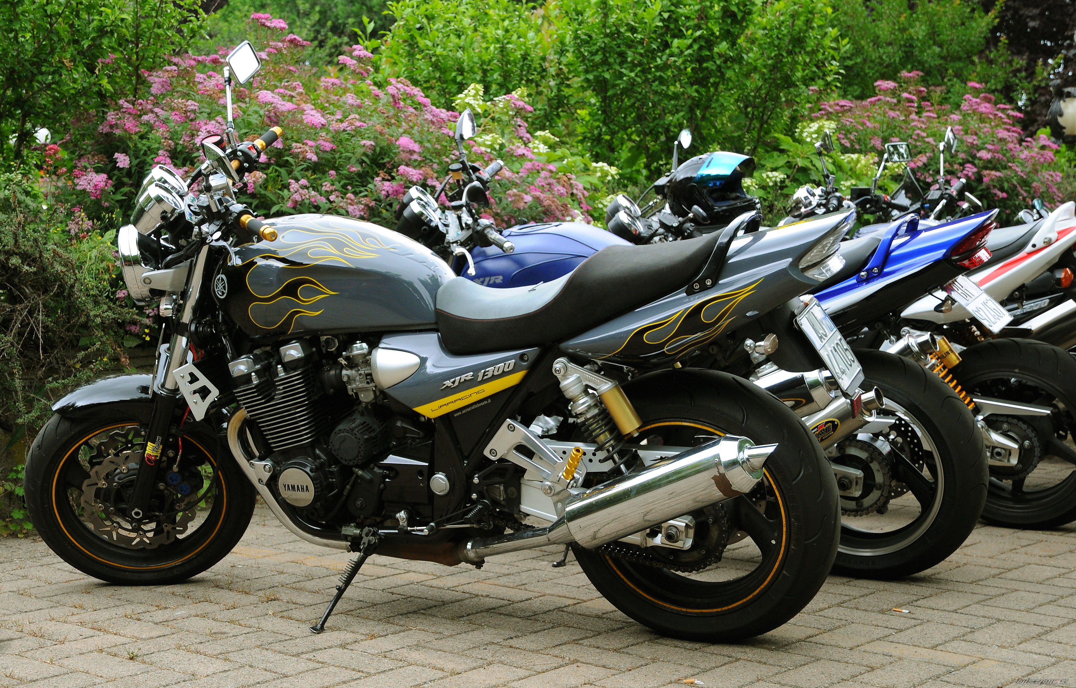 Bike Photo 1706368